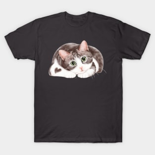 Curios Cat T-Shirt